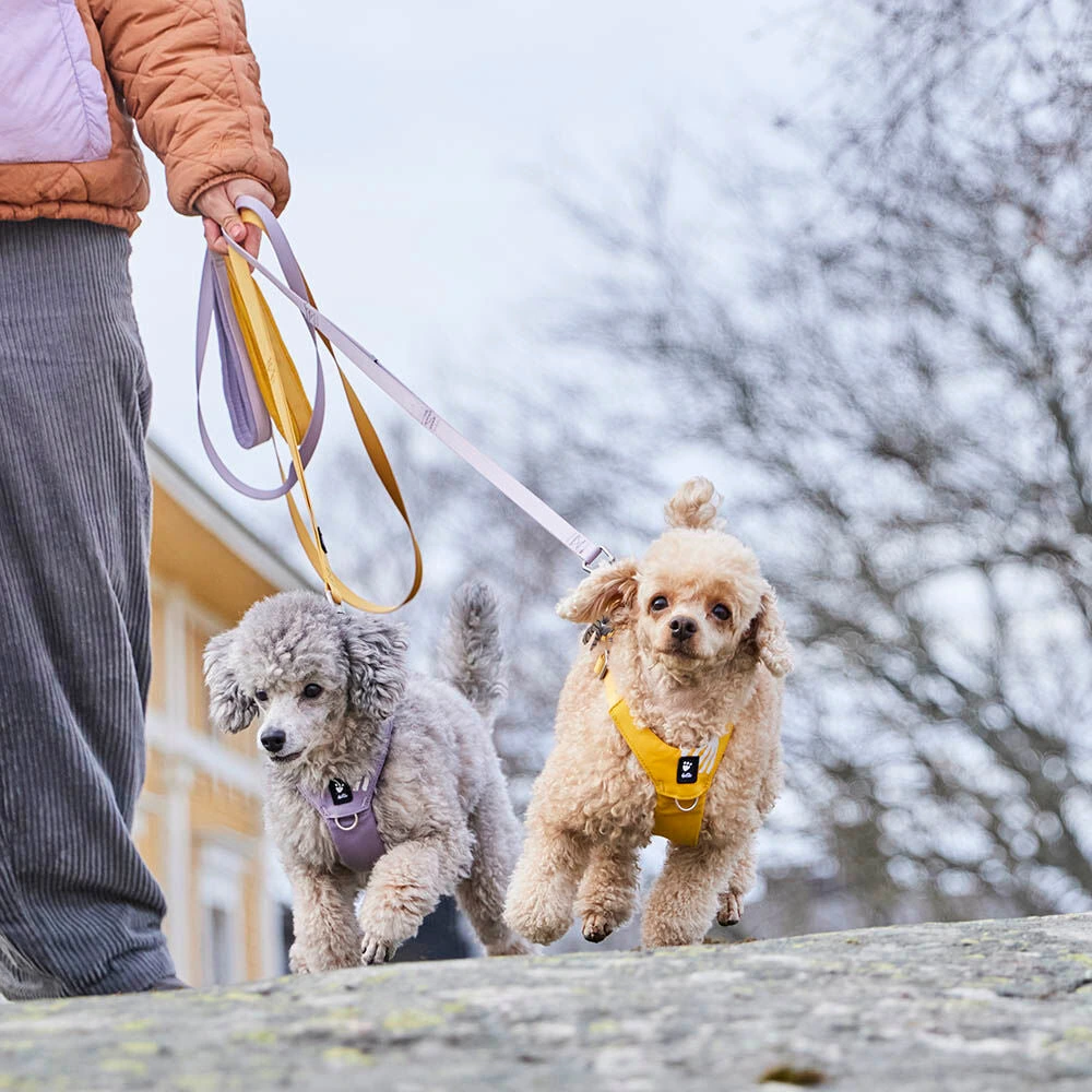 Повідець для собак Hurtta Seeker Standard Leash 180 см / 15 мм Жовтий