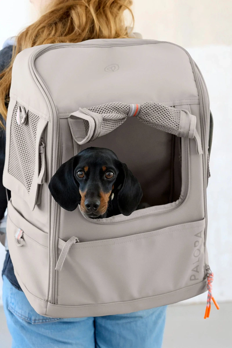 Рюкзак-переноска для собак Palopa Carrier Backpack Kari M Бежевий